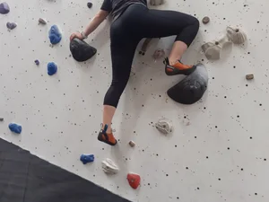 Flexibility