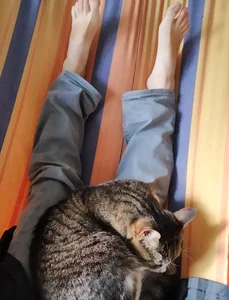 Feet of a Girl Lying in Bed With Her Kitty, Home Selfie