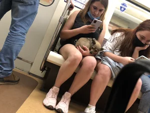 Girl With Hot Legs Sitting in a Subway Train With a Small Dog on Her Lap Creepshots