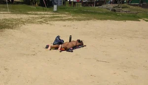 Sexy girl getting some sun laying on the beach in thong bikini