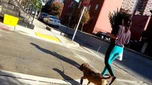 Sexy girl in teal spandex walking her dog