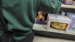 Hijab Princess stocking shelves @ department store
