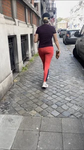 VPL + transparent belge