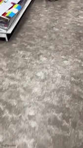 Dollar Tree Series Ep. 1
