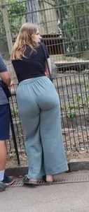 Ass collection (Zoo edition)