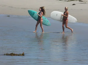 Candid surfer babes on the beach and in bikinis