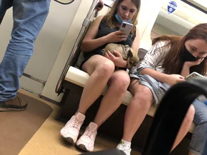 Girl With Hot Legs Sitting in a Subway Train With a Small Dog on Her Lap Creepshots