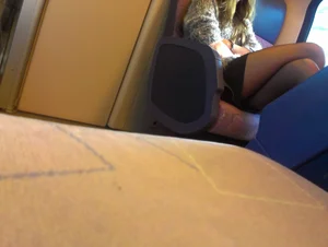 Girl in a Short Skirt and Black Pantyhose Sitting With Crossed Legs in the Train Candid Photo