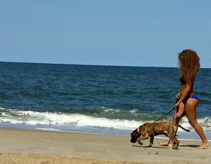 Beach and bikini girls