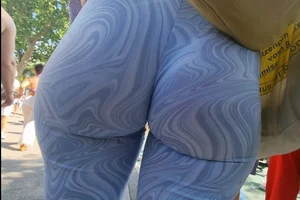 Asses everywhere