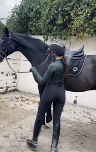 Equestrian