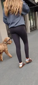 cute dog walker