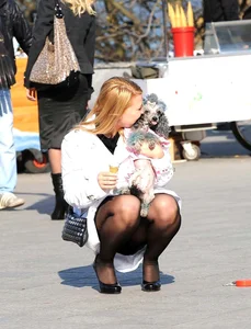Dog lady upskirted with stockings on