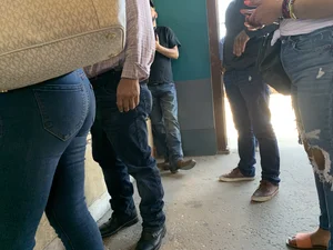 Bitch at the flea