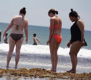Beach and bikini girls