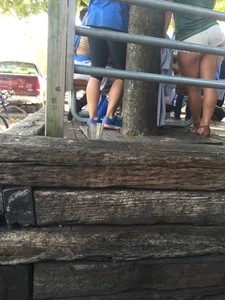 Girls in Shorts And Tights  Outdoors Creepshots