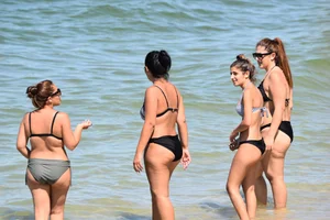 Sexy group of girls on the beach in various sizes