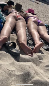 Beach sundays pawgs