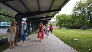 Collection of short candid vids