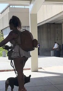 Tatted / Pawg showing ass in skirt for everyone to see (OC)