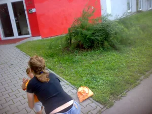 Huge collection of whale tails, ass cracks and panty peeks in public