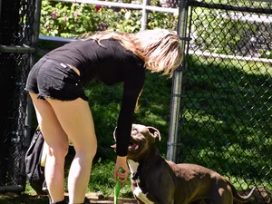 Blonde milf w/ nice legs walking her dog [015]