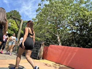 Orlando pt 7