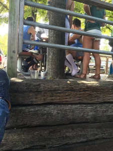 Girls in Shorts And Tights  Outdoors Creepshots