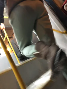 Cute Candid Girl in Pants Getting On a Tram Winter Creepshots, Nice Booty Closeups