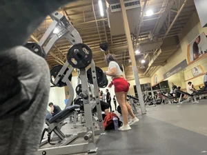 Gym goddesss  wow