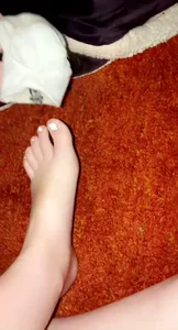 A bunch of nice girls' feed pics and vids