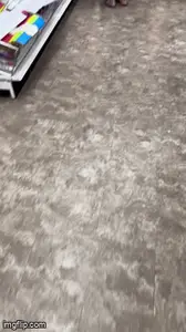 Dollar Tree Series Ep. 1