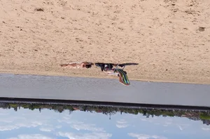 Girl laying out getting sun in a white thong bikini