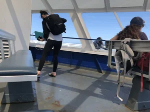 Feet and ass