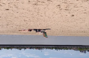 Girl laying out getting sun in a white thong bikini