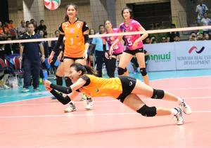 Thai candid volleyball girls
