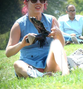 Bunch of sexy girls upskirted at parks showing their panties and asses