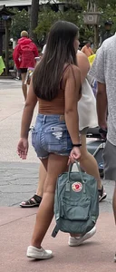 Theme Park Dump #4
