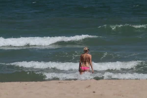 Collection of milfs in bikinis on the beach