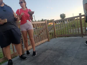 Nice ass and cameltoe