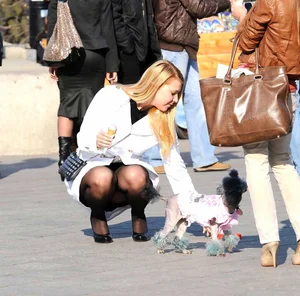 Dog lady upskirted with stockings on