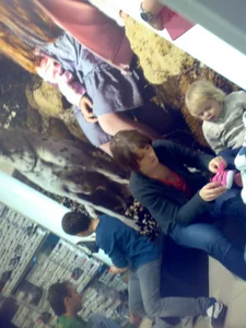 Huge collection of whale tails, ass cracks and panty peeks in public