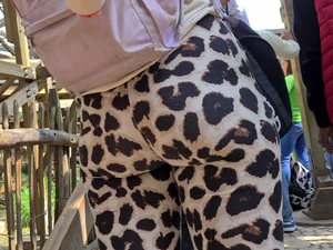 Tight leopard legging in themepark queue