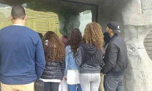 Nice Booty in Jeans at the Zoo