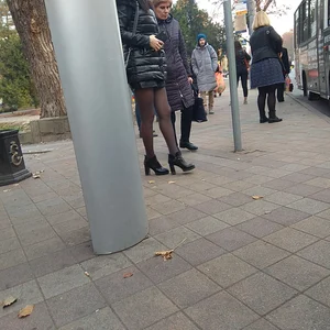 Legs in Pantyhose Bus Closeup