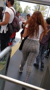 Cual culo elijen?