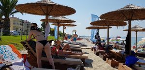 Hot candid beach and pool situations