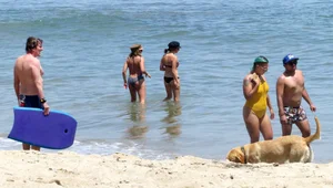 Ashley Tisdale in bikini on the beach in Malibu