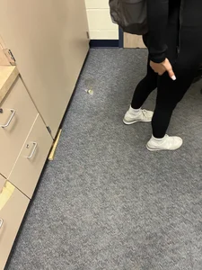 Awesome college ass in leggings in class closeups