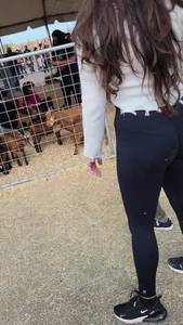 A few captures at the pumpkin patch